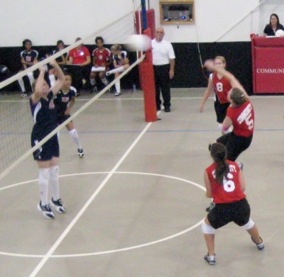 IMG_1390.jpg