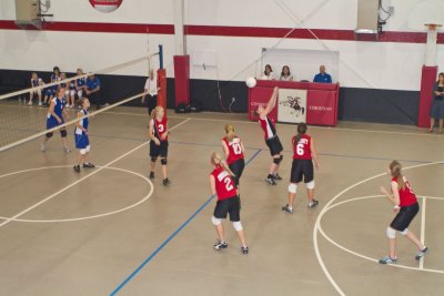 IMG_2342.jpg