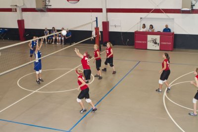 IMG_2343.jpg