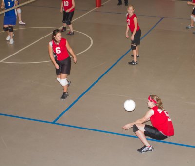 IMG_2350.jpg