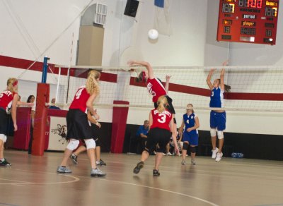 IMG_2365.jpg