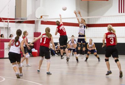 IMG_3832.jpg