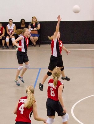 IMG_3855.jpg