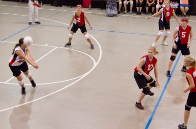 IMG_3864.jpg
