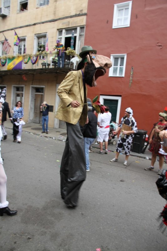 MG2011 (8).JPG