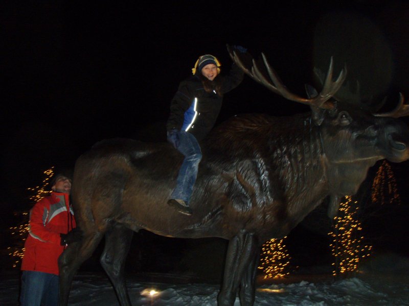 moose and squirrel 2.jpg