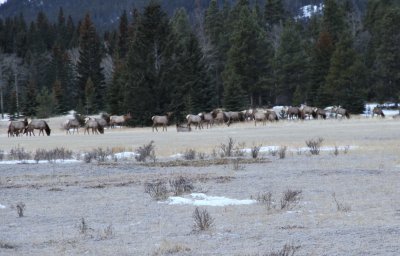 Banff Ca (8).jpg