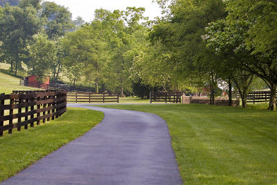 Road to the barn