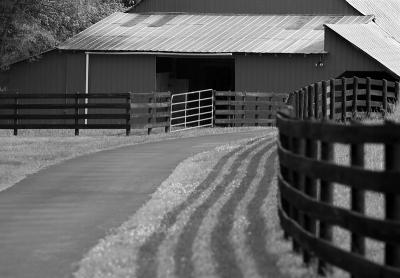 Road to the barn in B&W