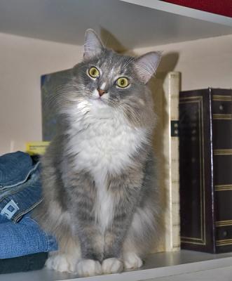 Abby sitting in the closet