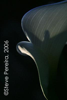 7015-6159