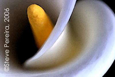 7020-7485