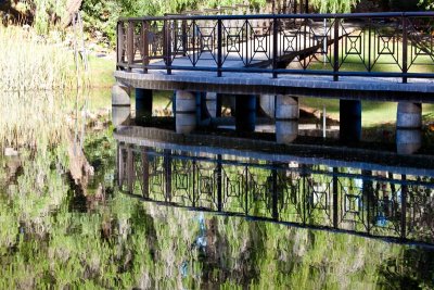 Lake at Pinnaroo Memorial Park