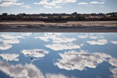 13. Lake Joondalup after summer