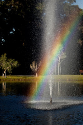 Rainbow in the lake