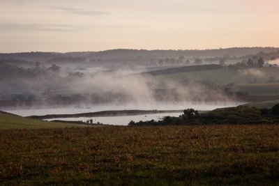 Misty morning