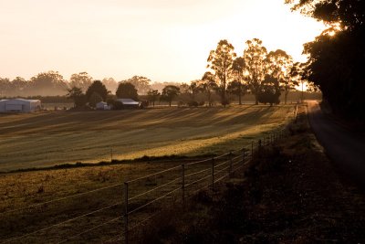 Looks like it's going to be a nice day