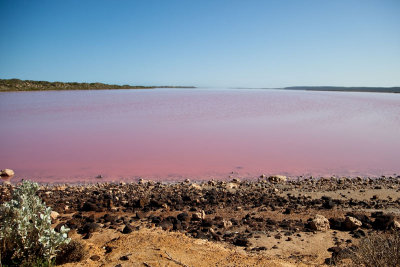 Hutt Lagoon / Pink Lake