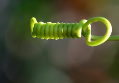 May 13. Tightening