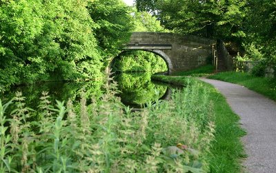 Canal at Hest Bank