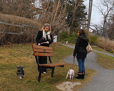 Two Ladies with Dogs