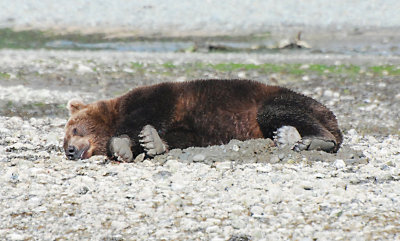 Nap time again