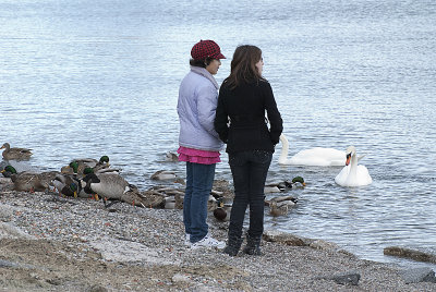 Feeding the ducks