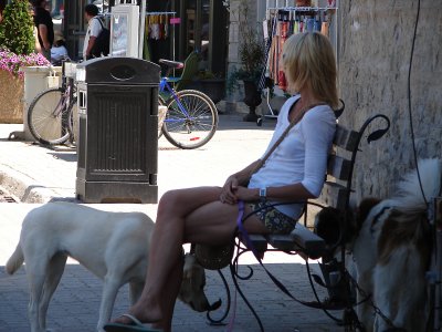 Woman with dogs