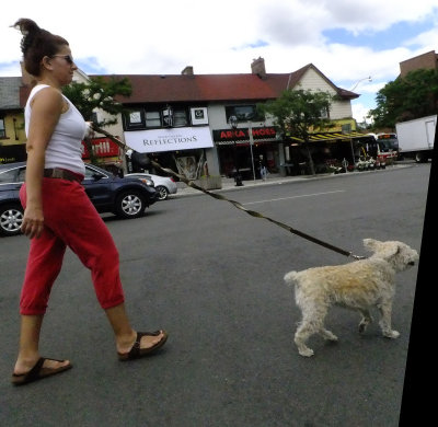 Lady with dog