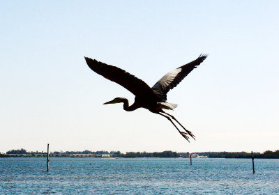 Coquina Park, Anna Maria Island, Florida