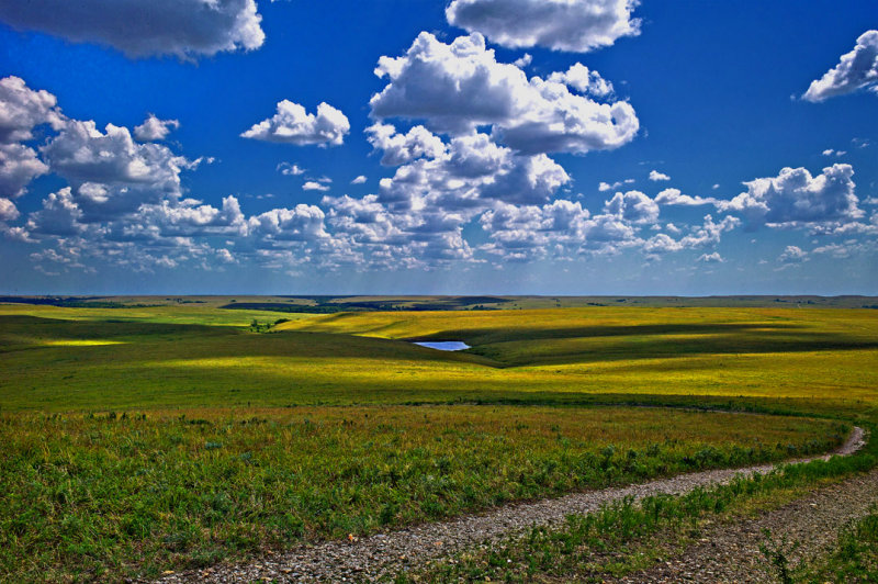 Tall Grass Prairie Preserve