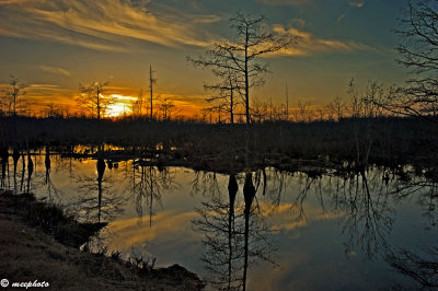 Marsh Sunset