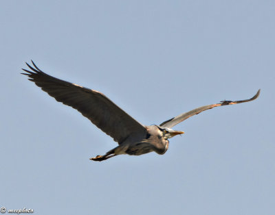 In-Flight