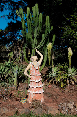 Sculpture and cactus. Botucatu, Brazil