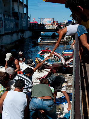 The transaction - fish market in Manaus