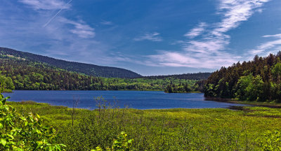 A Quiet Pond