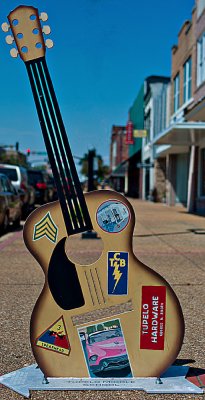 The Elvis Project (First in a Series)