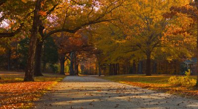 Shiloh Street Scene