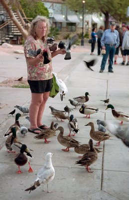 Bird Whisperer