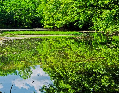 Spring time Pond