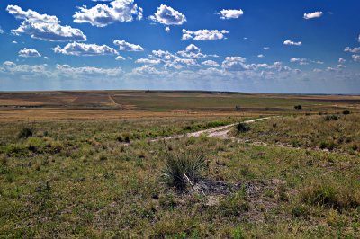 Western Kansas Plains