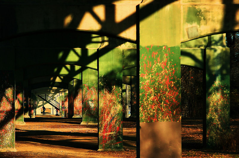 VIEW UNDER THE BRIDGE
