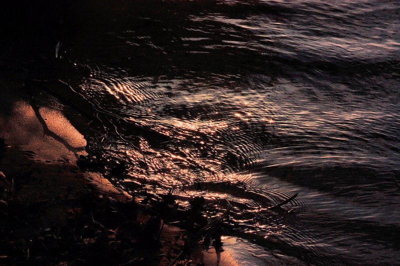 COLORED LIQUID - LAKE AND SHORE AT SUNSET