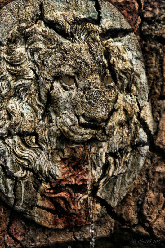 31 FACES - LION FACE