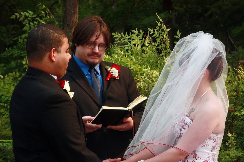 VOWS