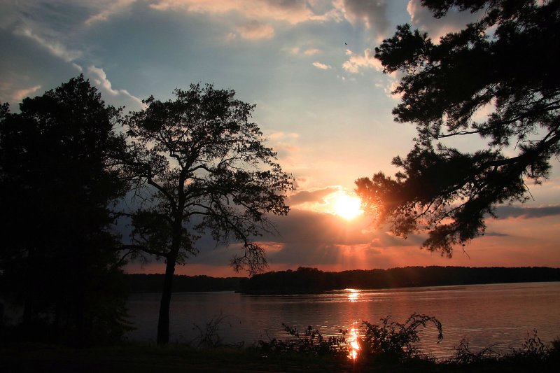 SUMMER SUNSET