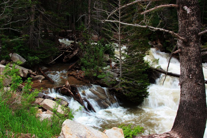 THE RIVER