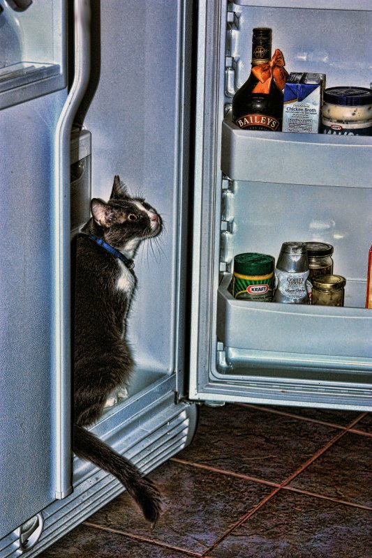 CLOSE THE DOOR...ITS HOT!