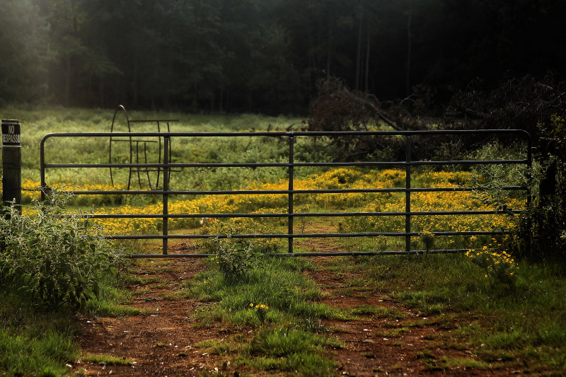 NO TRESPASSING