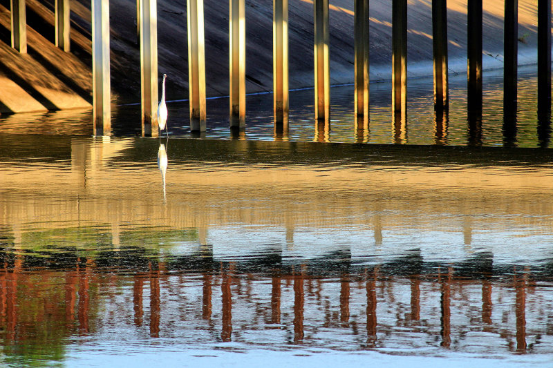 TRANSITION IN REFLECTIONS